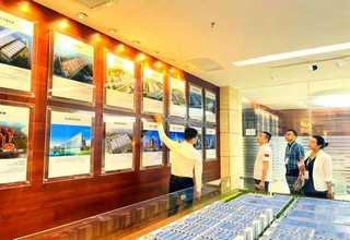 甘肃半枝莲花种有哪些