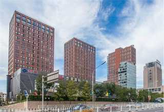 重庆灭菌海绵拭子供应商