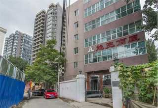 奉贤区附近绿植租赁价格